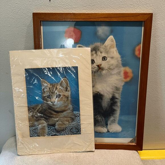 Vintage Framed Cat Prints – Cover Kitty & Iridescent Tabby Art - 16 x 13 - Picture 8 of 9